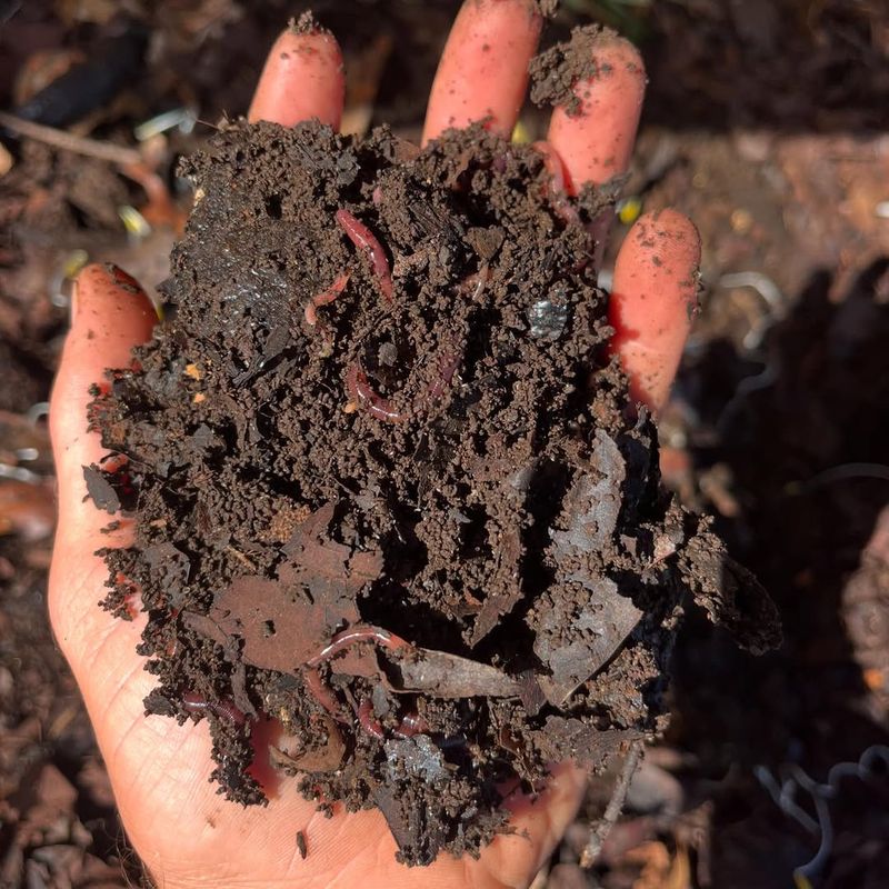 Nutrient Depletion From Long Growing Seasons