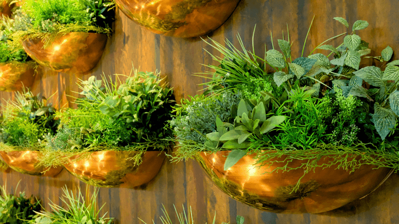 Don't Over-Fertilize During Winter Dormancy