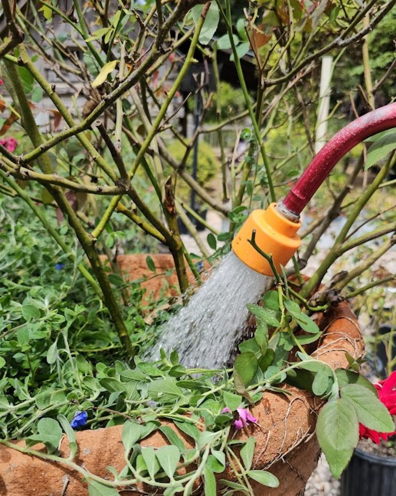 Consistent Deep Watering Cycles