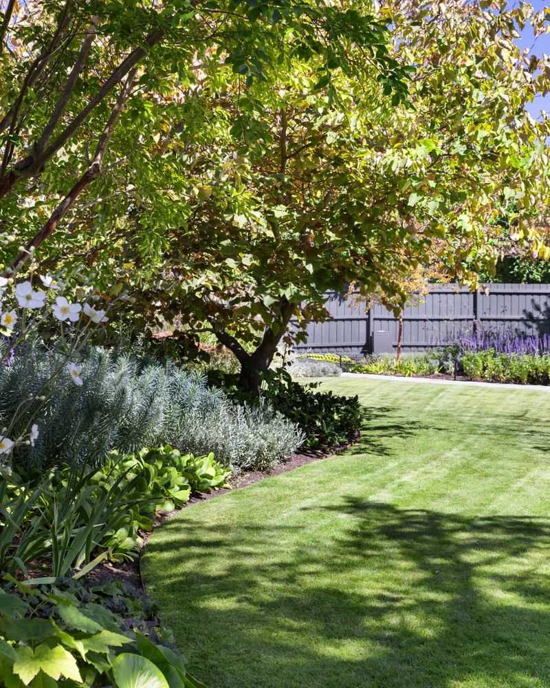 Landscape Design Benefits From Sun-Shade Balance