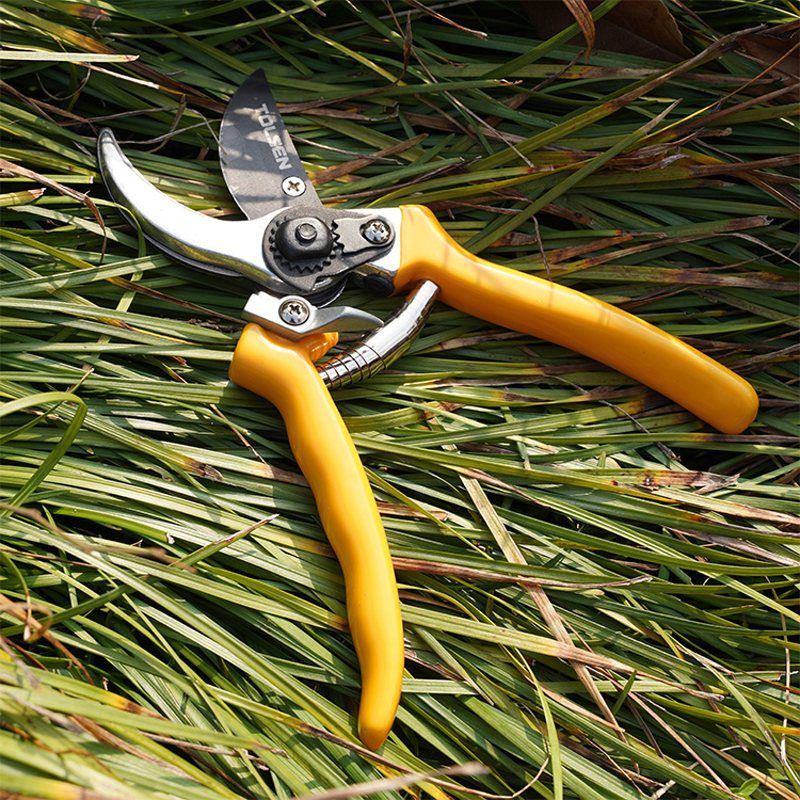 Pruning Shears And Loppers