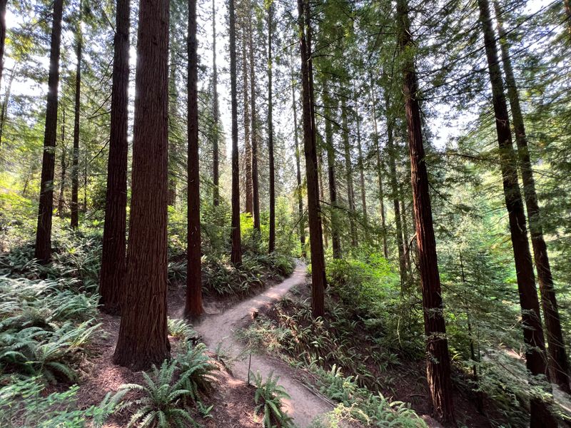 Hoyt Arboretum (Portland)