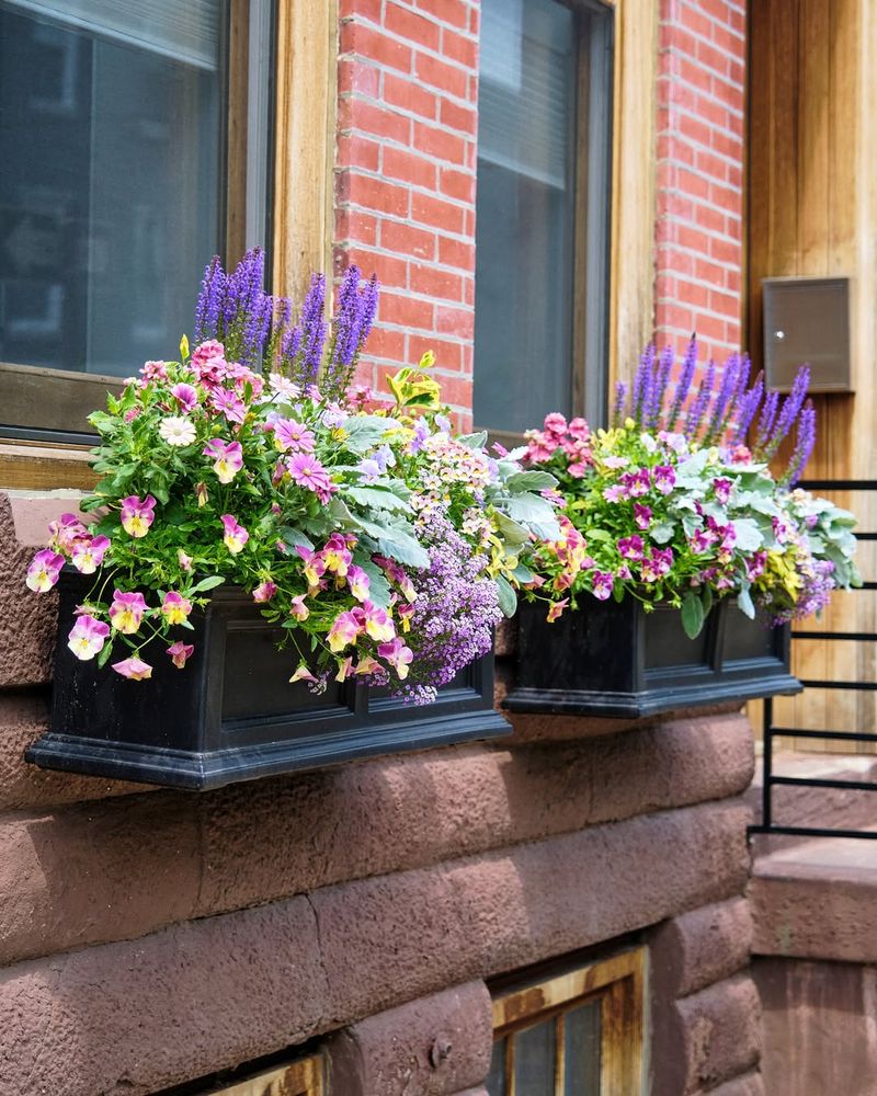 Window Boxes Brighten Small Spaces Beautifully
