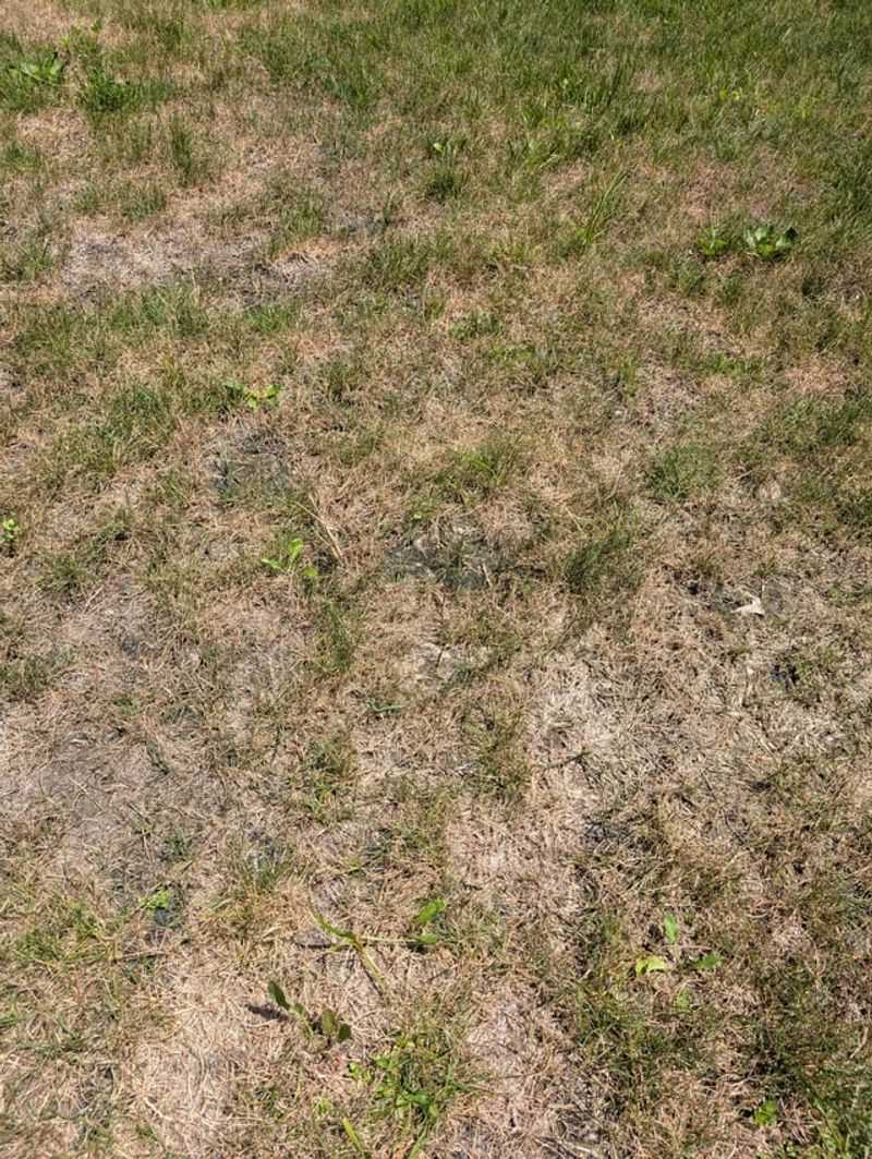 Check The Color For Signs Of Life