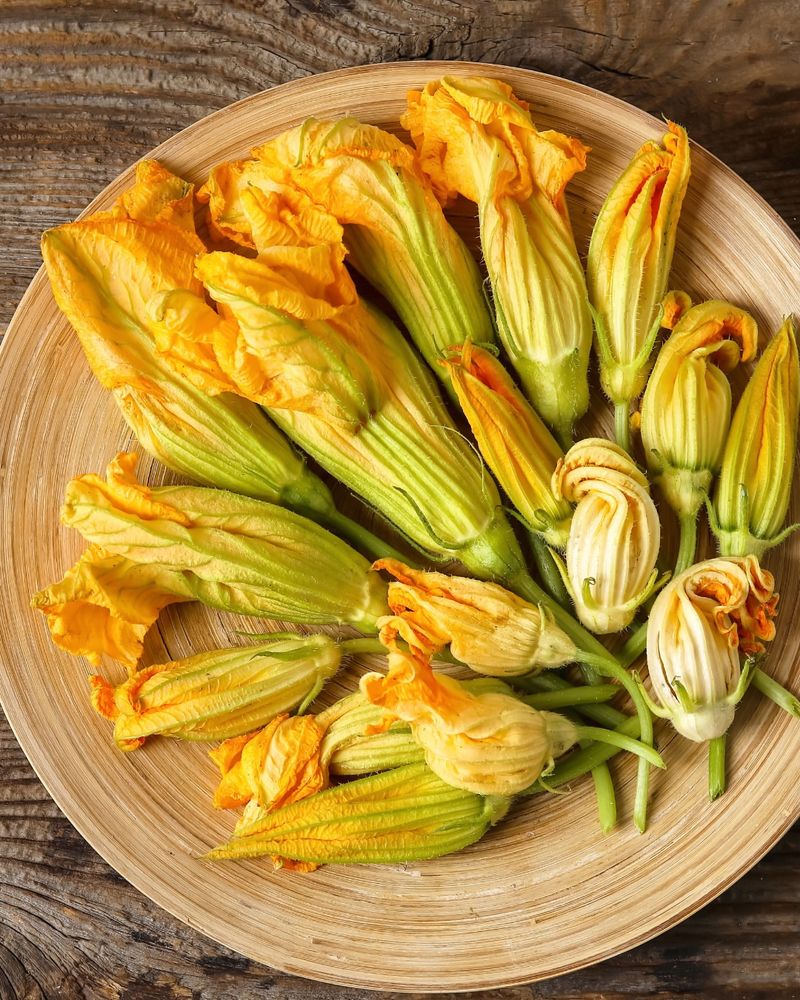 Squash Blossoms (Cucurbita Species)