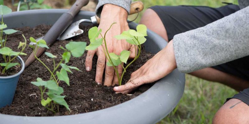 Soil Temperatures Can Spike
