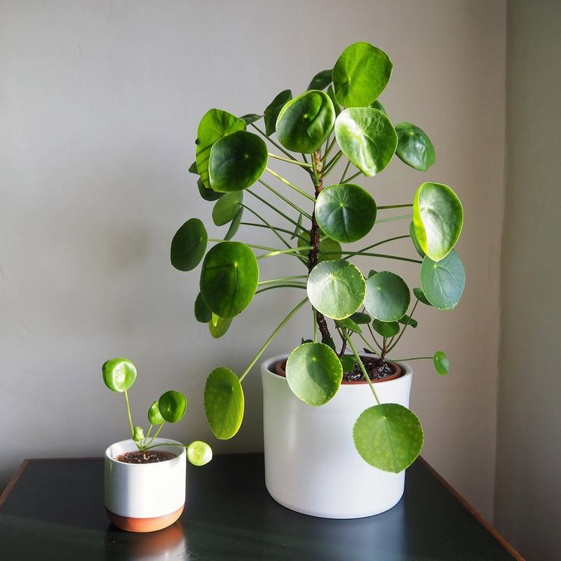 Bedroom Nightstand Near A Window