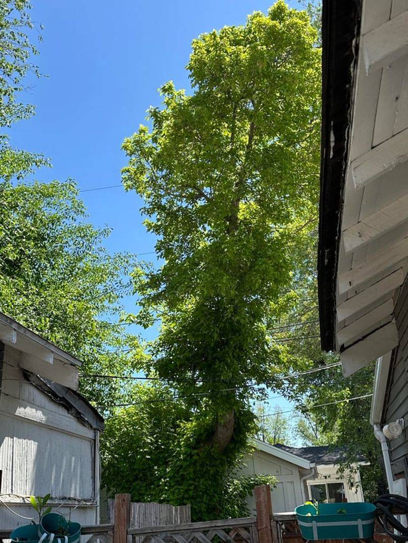 Document Everything For Potential Legal Claims