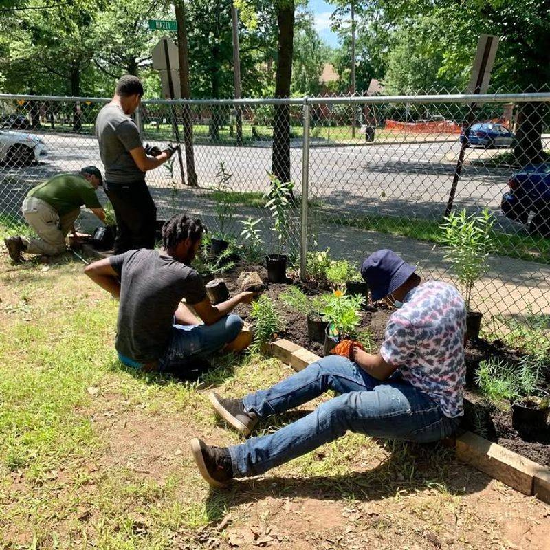Why Connecticut Native Plants Are At The Center Of UrbanScapes' Mission