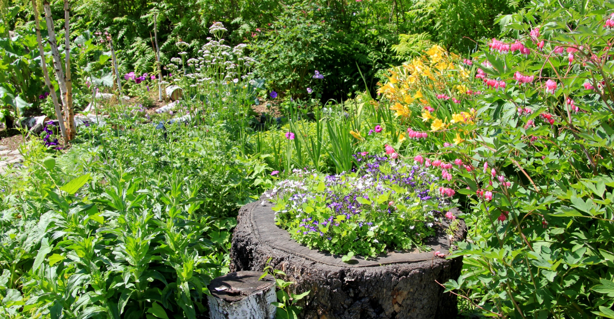 garden (featured image)