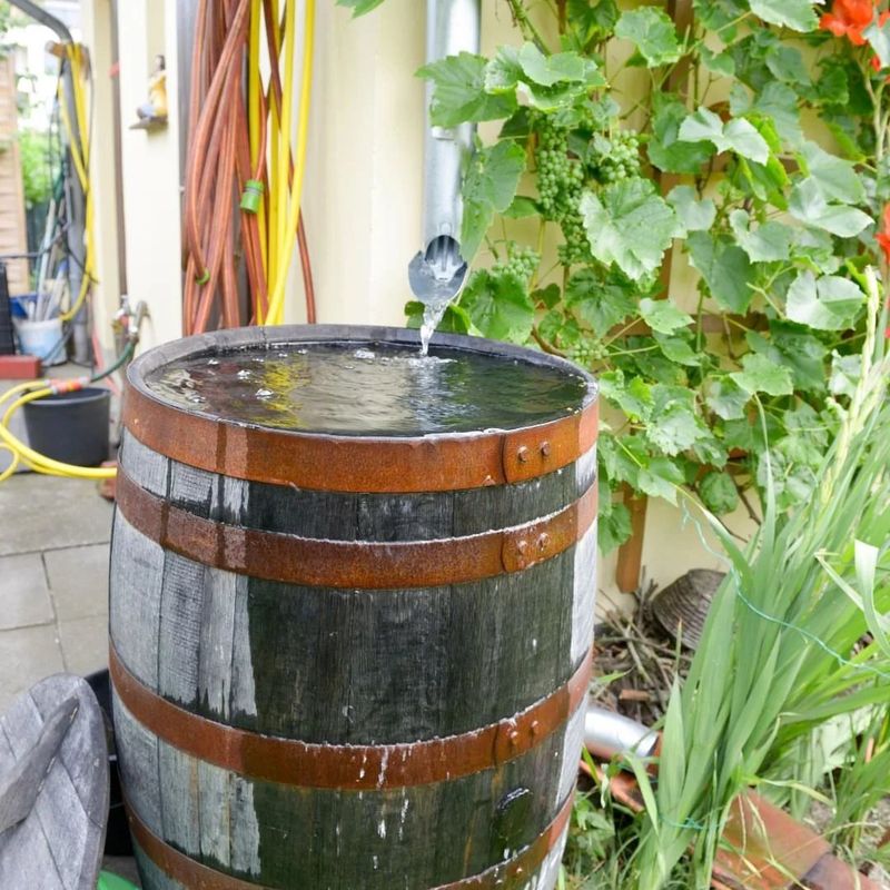 Why Ongoing Care Matters for Rain Barrel Systems