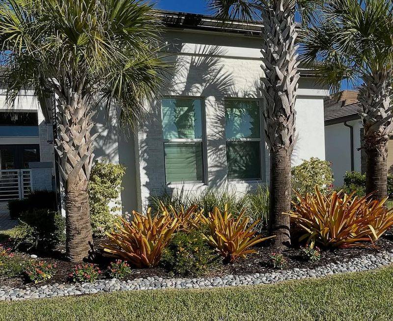 Creating A Year-Round Butterfly Habitat