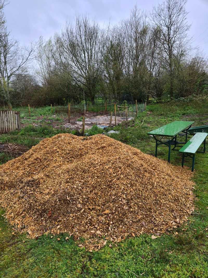 Why Mulch Protects Soil Year-Round