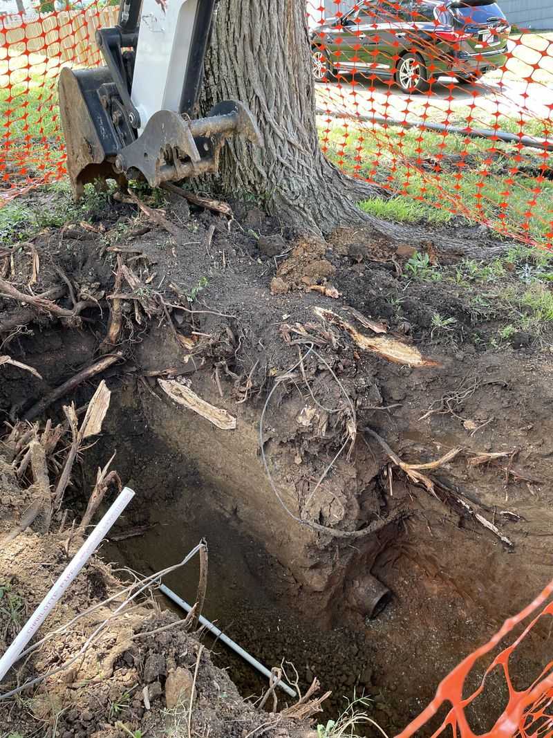 When Your Neighbor Is Responsible And When You Are