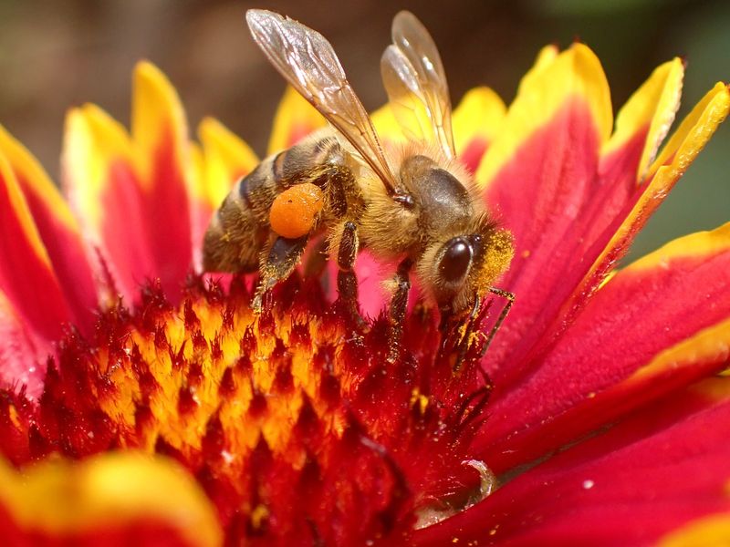 Seasonal Benefits Throughout The Year