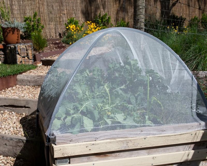 Earlier Spring Planting Becomes Possible