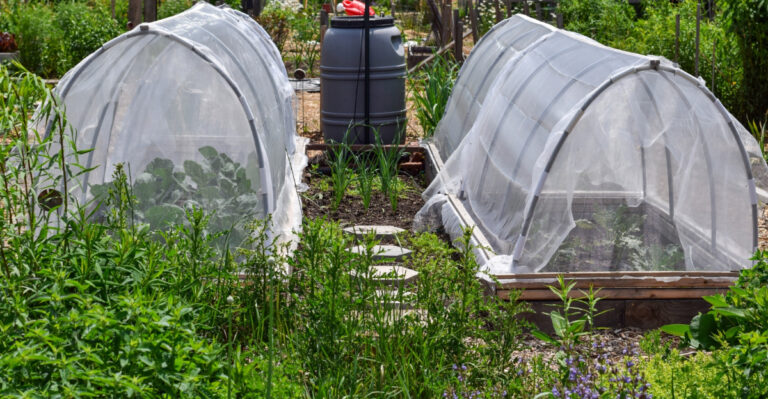 covers (featured image)