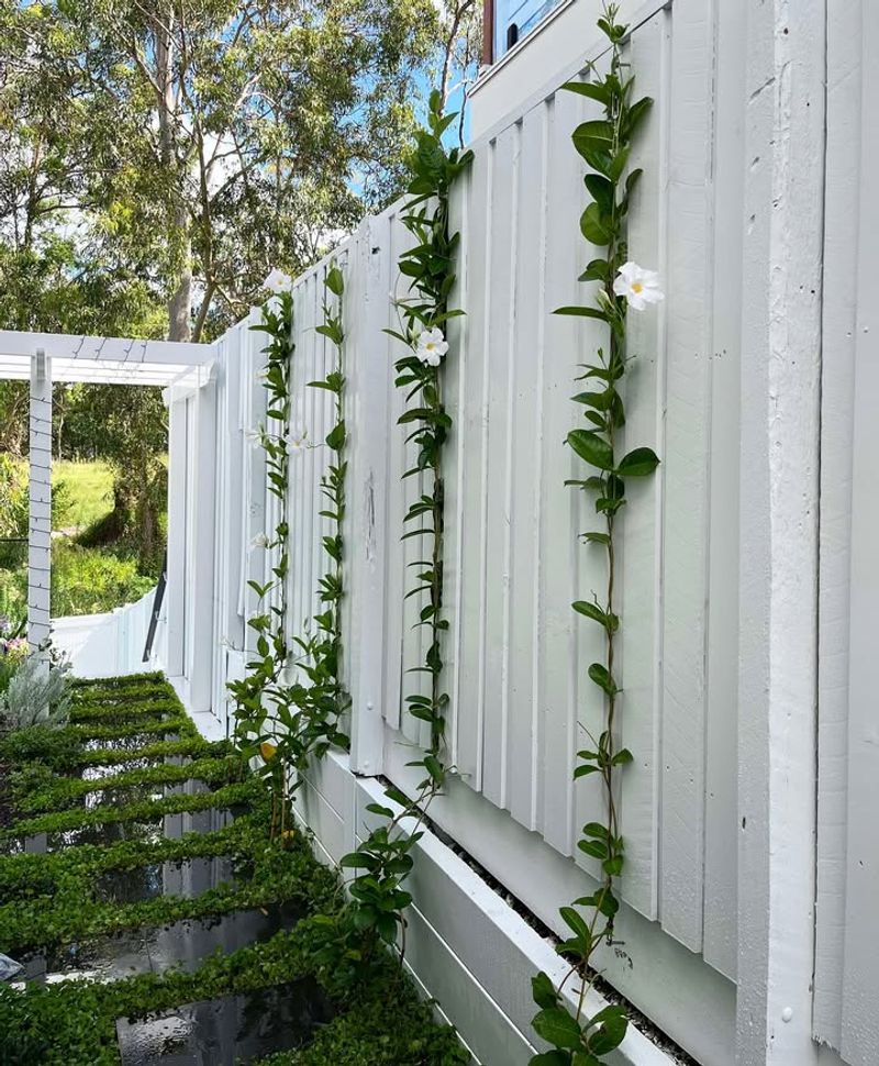 Vertical Planting Systems Take Over Fences and Walls