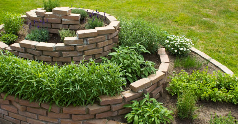 herbs (featured image)