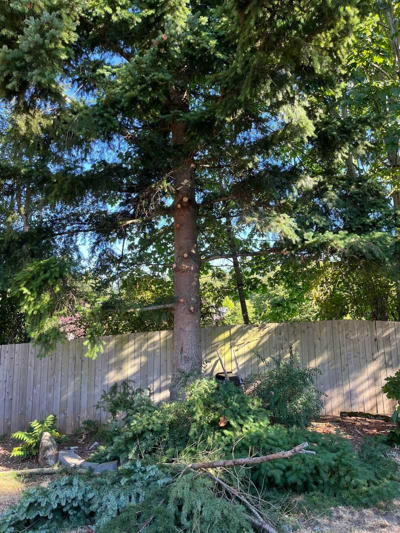 Steps That Often Resolve Sunlight Disputes Peacefully