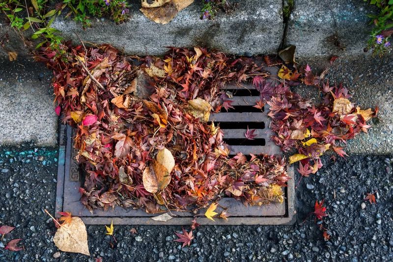 What To Do If Leaves Block Drains, Walkways, Or Gutters