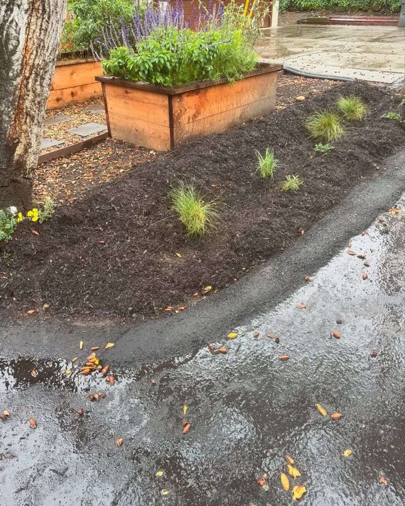 How Mulch Protects Plants During Florida's Extreme Weather