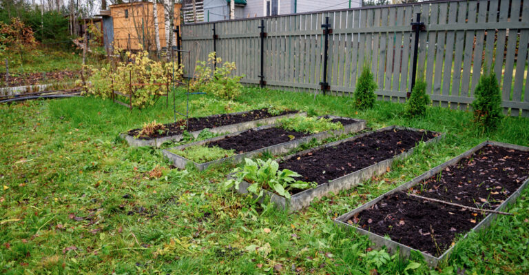 garden beds (featured image)