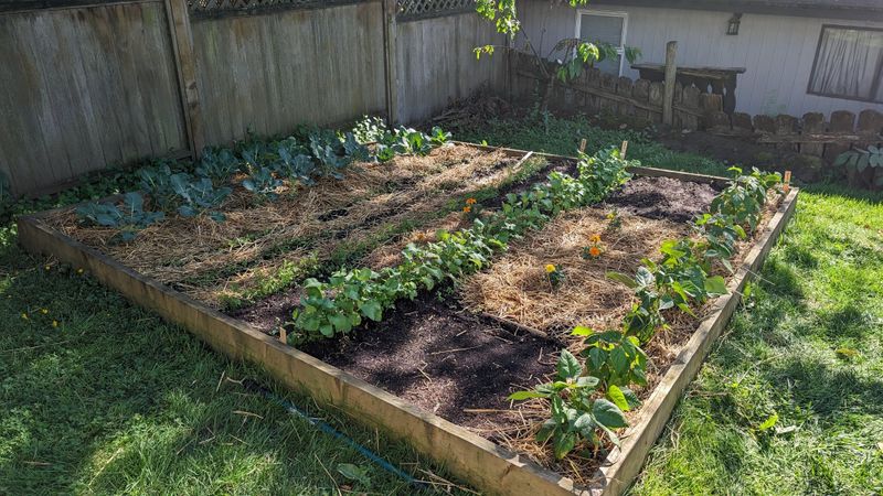 Fewer Weeds With Almost No Extra Effort