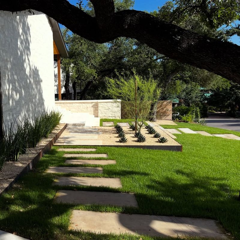 What Better Performance Means In Texas Landscapes