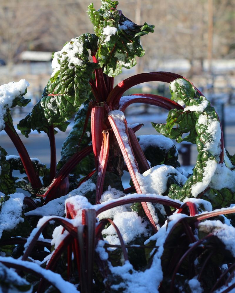 Watching Weather Shifts Before Taking Action