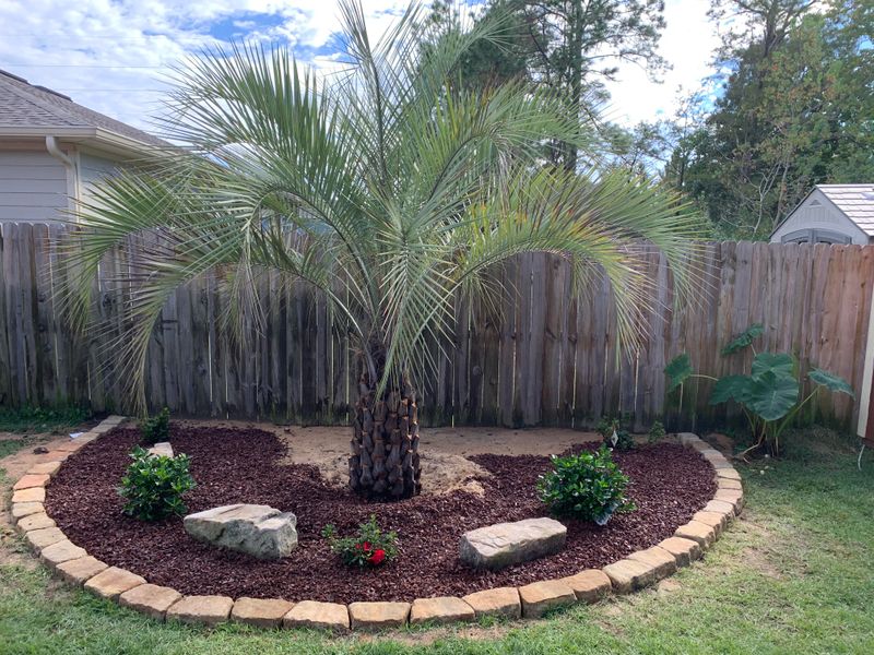 How Central And South Florida Gardeners Should Adjust Mulching