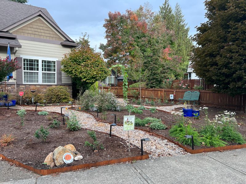 Why Backyard Habitats Matter More Than You Think