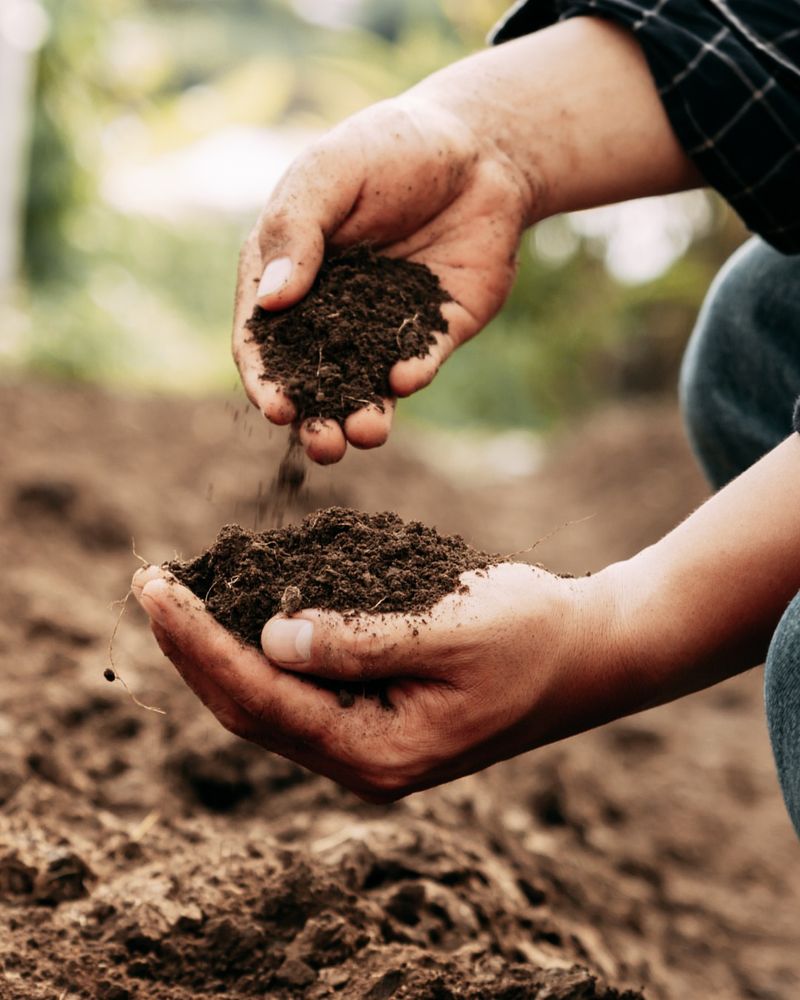 Simple Ways Gardeners Can Check Their Soil