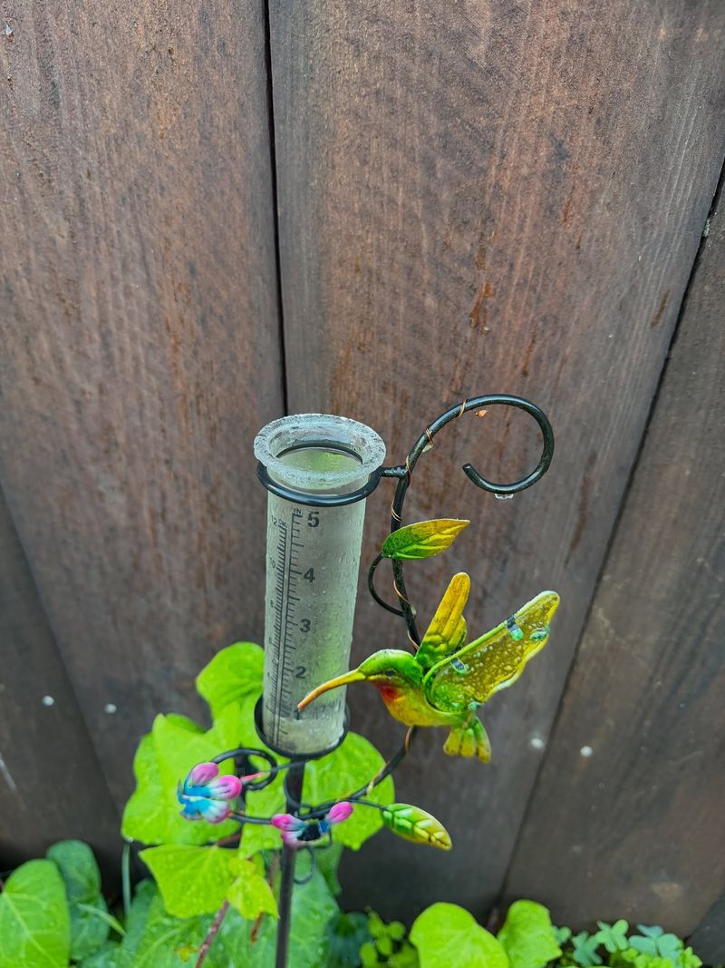 The Role Of Recent Rainfall In Winter Care