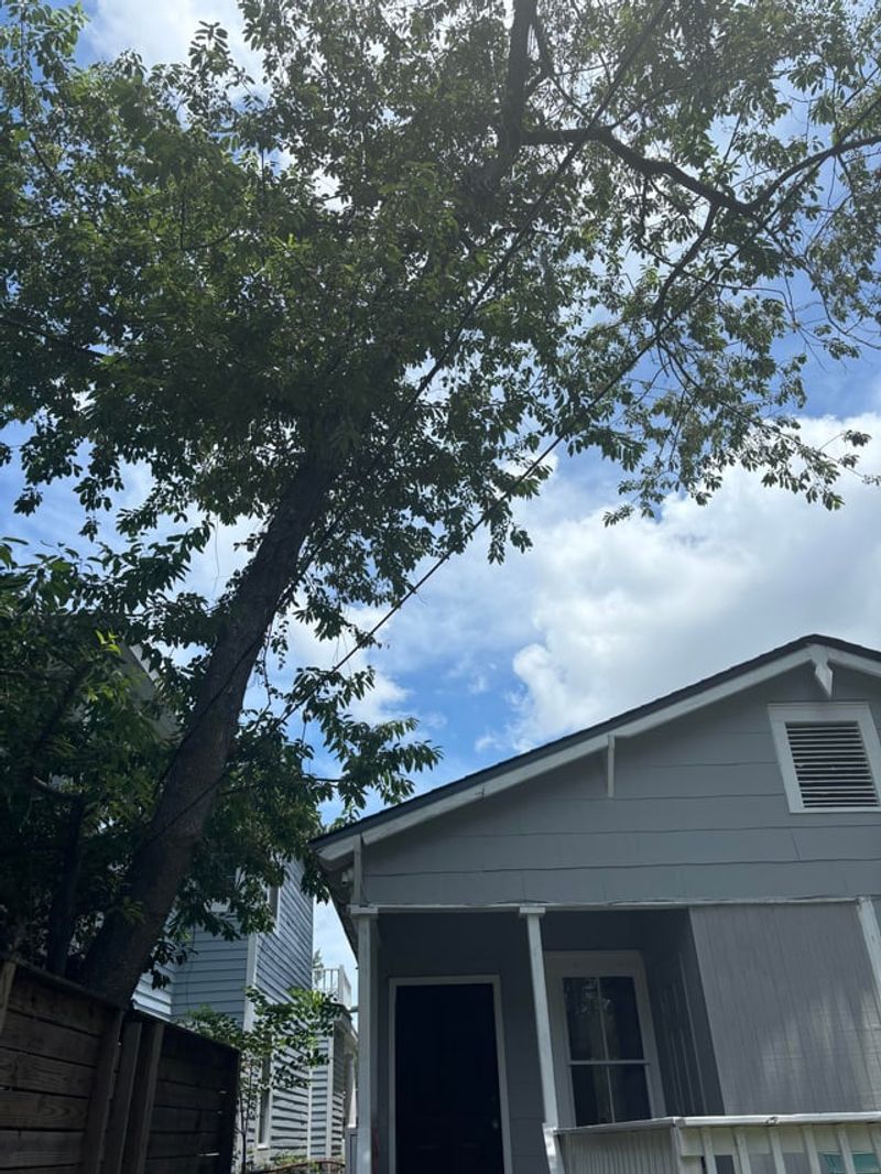 When Shade Becomes More Than A Minor Nuisance