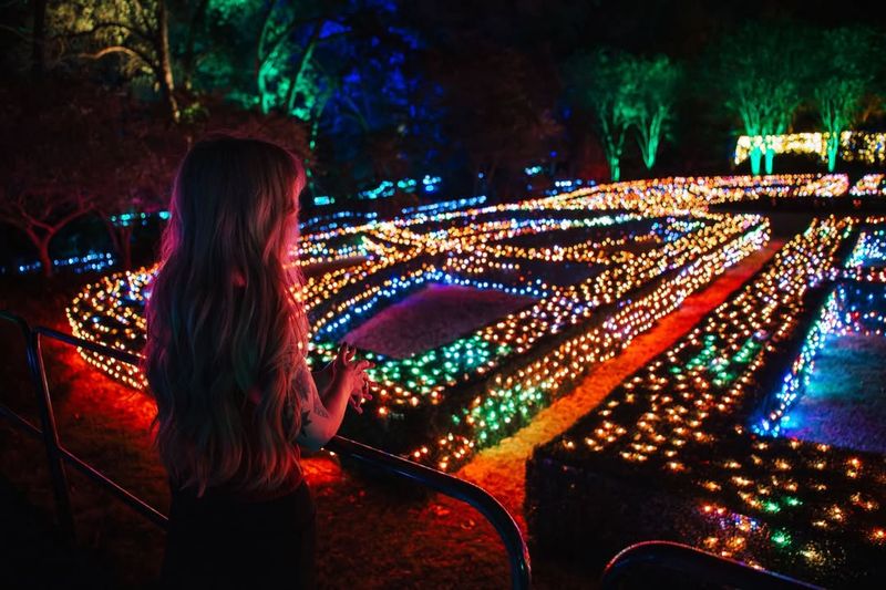 The Floral And Light Elements Featured Throughout The Trail