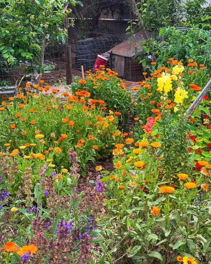 What Changes Once Growth Picks Up After A Clean Start