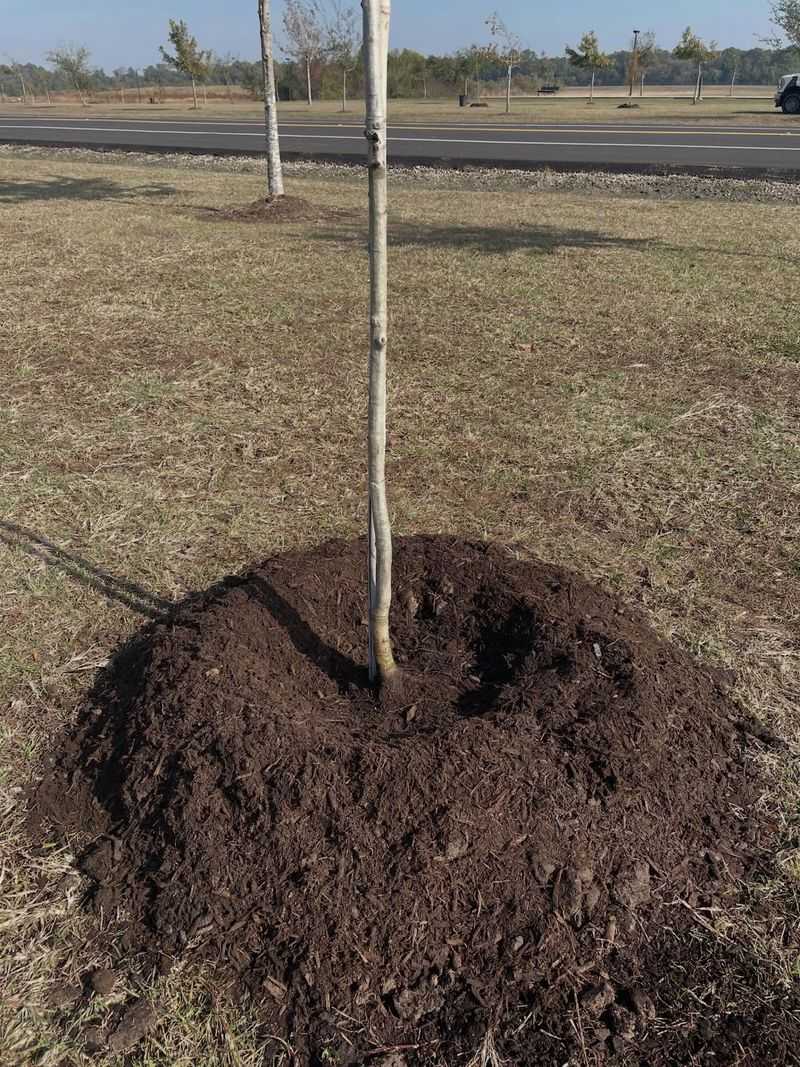 Common Mistakes That Cancel Out The Benefits