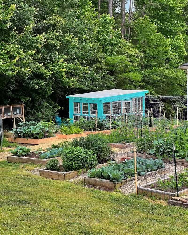 Choose the Right Location for Your Garden