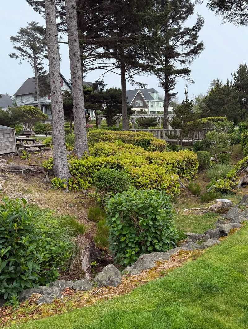 Why Coastal Oregon Gardens Face Unique Storm Challenges