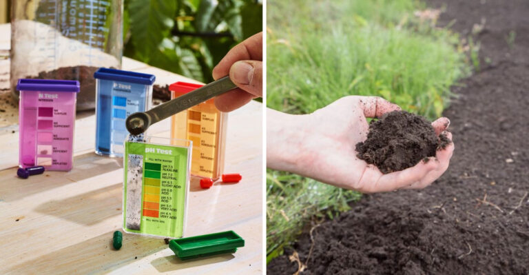 How To Finally Fix Clay Soil In Ohio Before Spring Planting