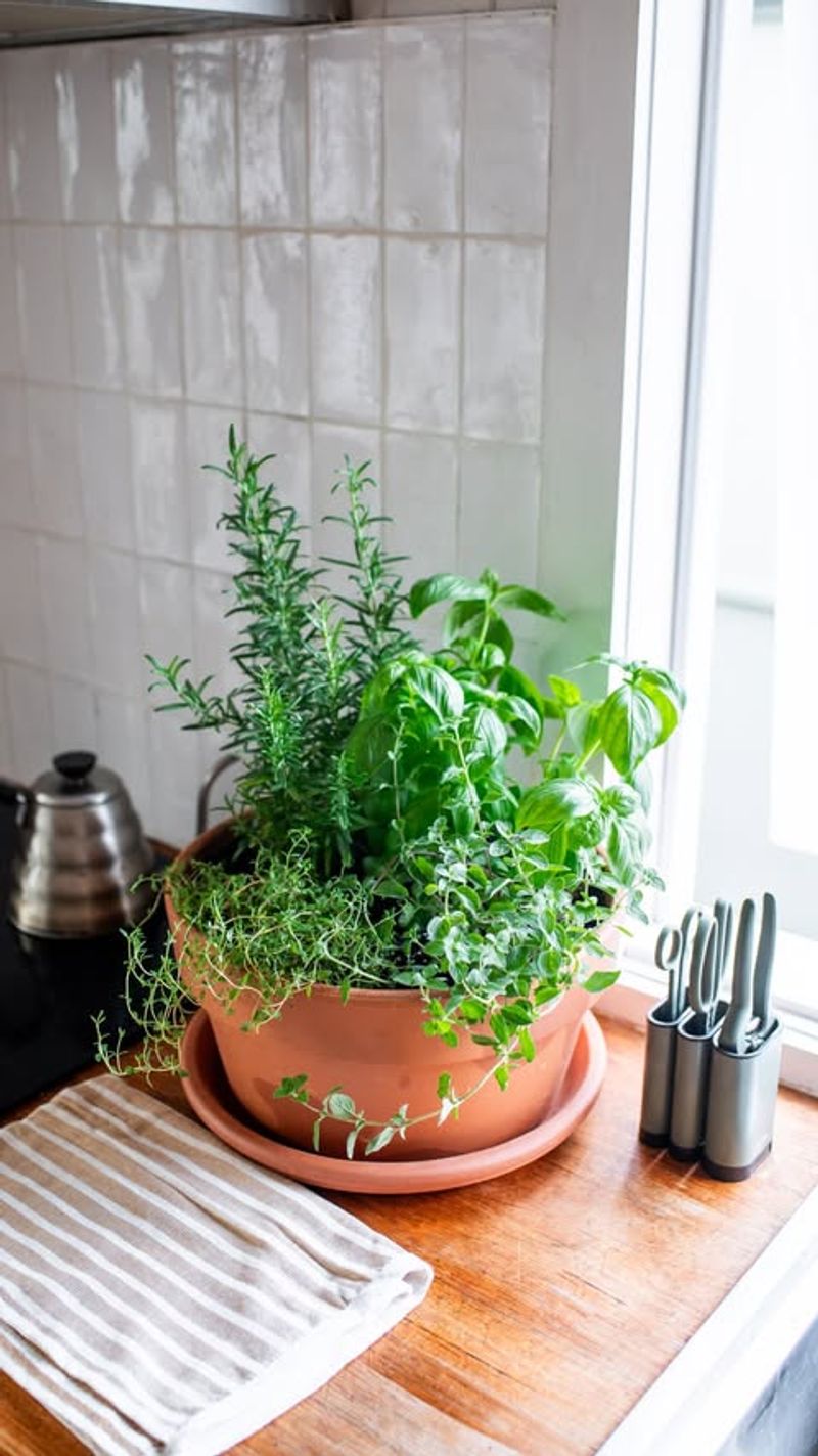 Choose the Right Location with Adequate Natural Light