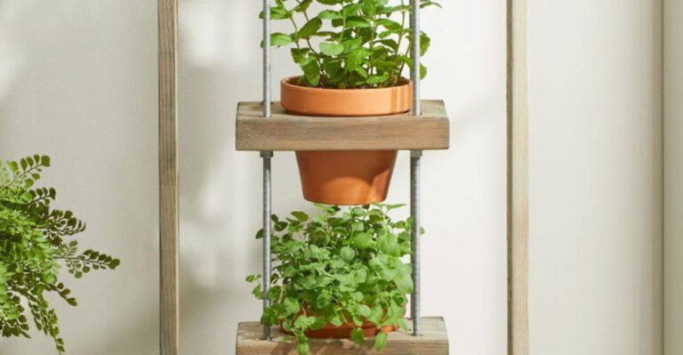 herb garden indoors