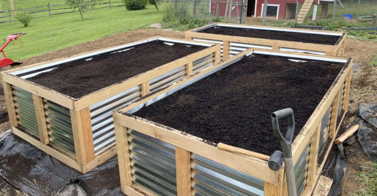 raised garden beds