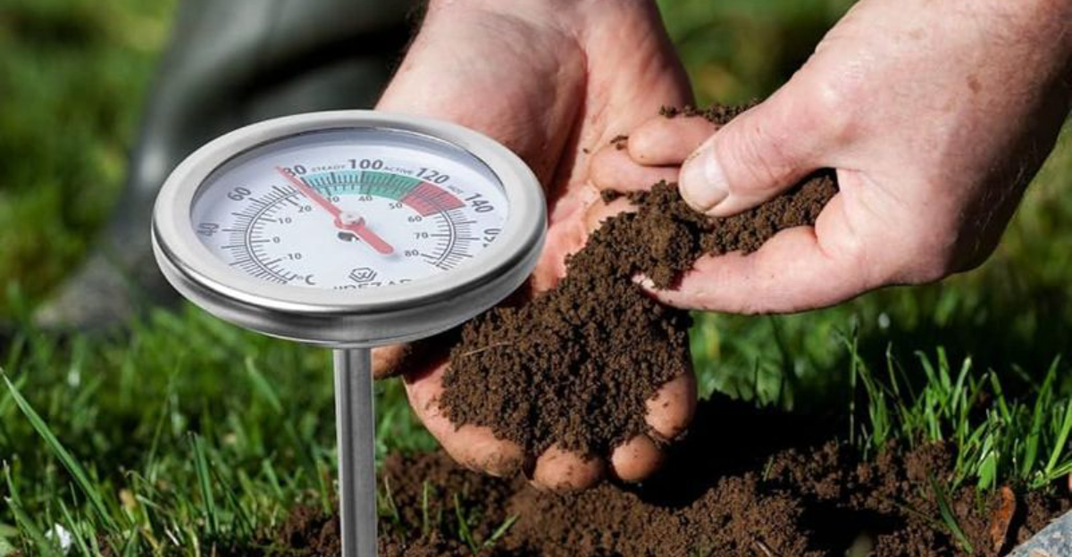 soil temperature measuring