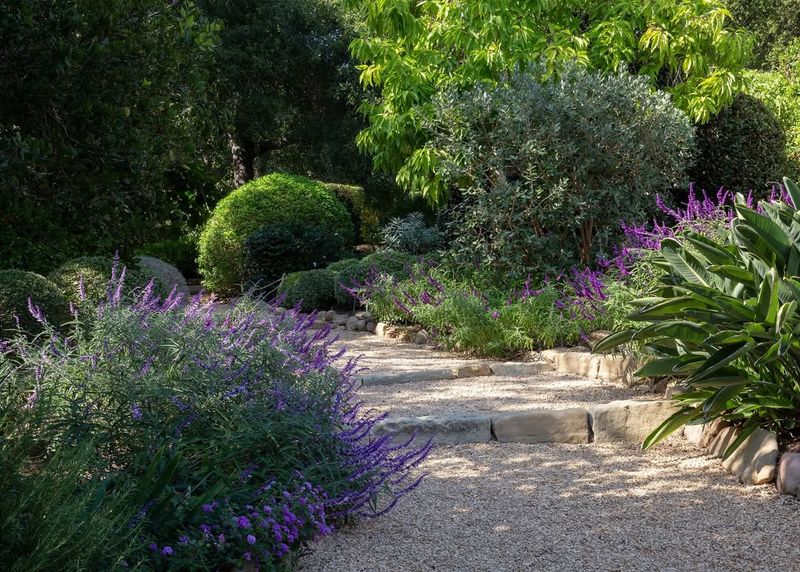 Choose Native Oregon Plants That Feed Wildlife Selectively