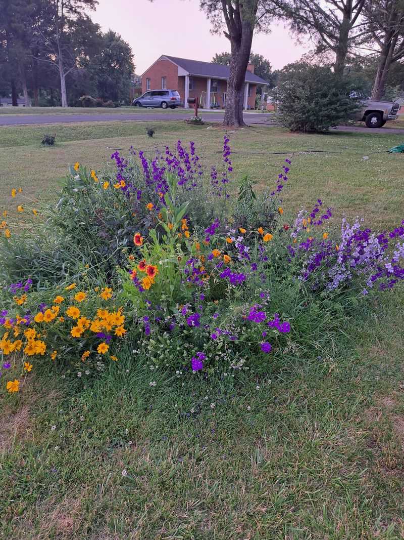 Simple Maintenance That Keeps Blooms Coming Back