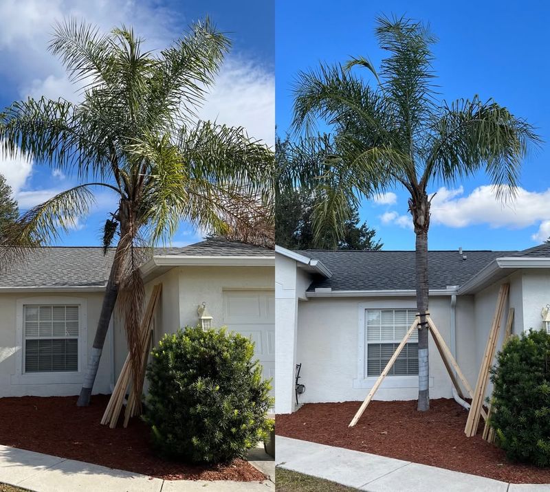 When You Should Call A Professional Instead