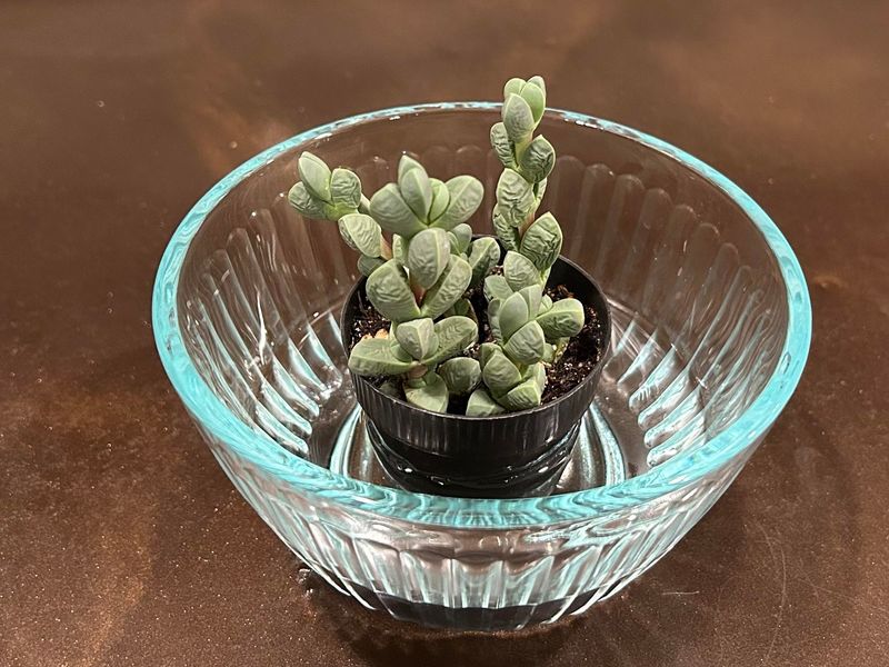 Use The Soak And Dry Method For Best Results