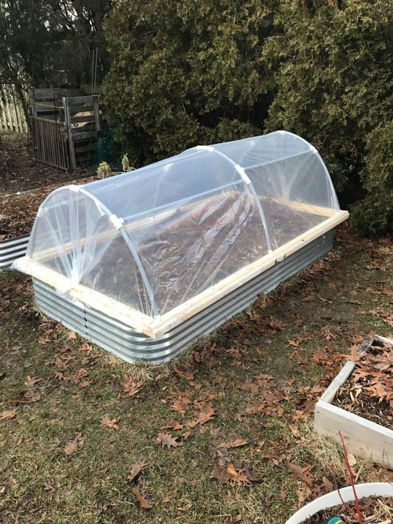 Steps To Safeguard Containers And Raised Beds